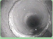 drain cleaning Leaves Green